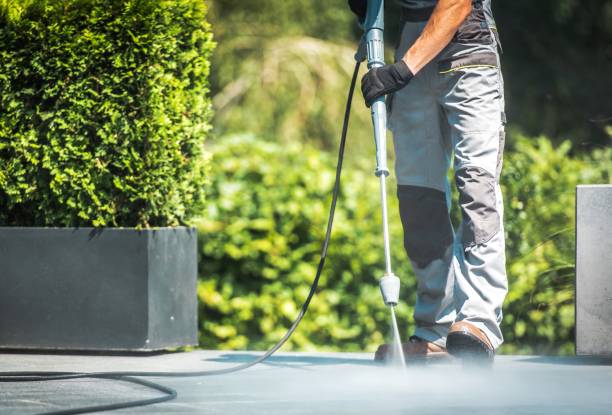 Best Residential Pressure Washing in Web, AL