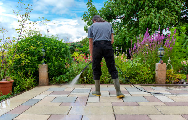 Best Pool Deck Cleaning in Web, AL