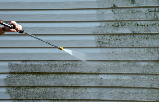 Best Vinyl Siding Pressure Washing in Web, AL