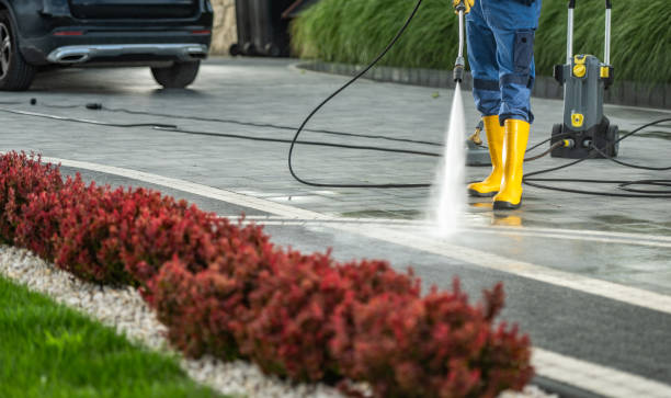 Best Deck and Patio Pressure Washing in Web, AL