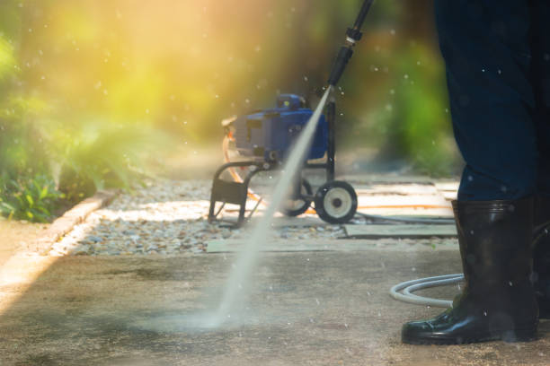 Best Soft Washing for Delicate Surfaces in Web, AL